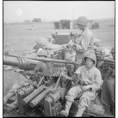 Servants d'une pièce d'artillerie anti-aérienne 40mm Bofors à leur poste près de Bizerte.