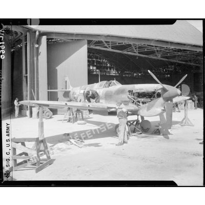 Réglages des canons Hispano de 20 mm d'un Spitfire à l'atelier de Blida.