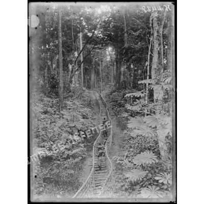 Chemin de fer du centre. Chemin de rondinage menant à la tombe du sous-lieutenant Molières, tué le 16 décembre 1915. [légende d'origine]