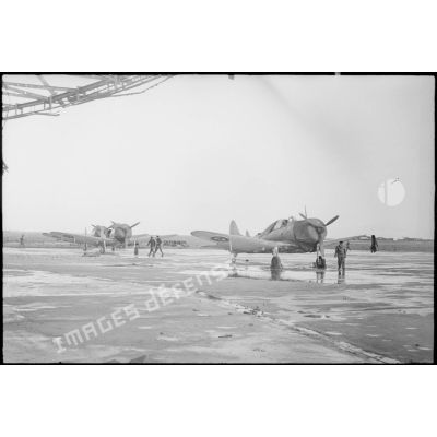 Bombardiers en piqué Douglas SBD-5 Dauntless de la flottille 4FB de l'aéronautique navale sur la base de Cognac.