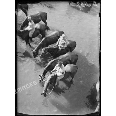 Vraincourt (Meuse) : hussards faisant boire leurs chevaux dans le Vadelaincourt. [légende d'origine]