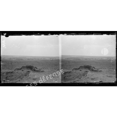 Au nord de Perthes : champ de bataille du 25 septembre 1915. [légende d'origine]