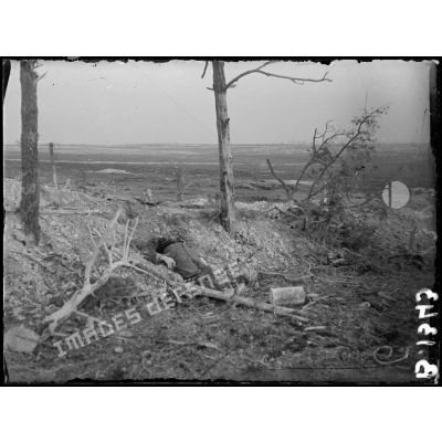 Devant le Bois Bricot. Champ de bataille du 25 septembre 1915. [légende d'origine]