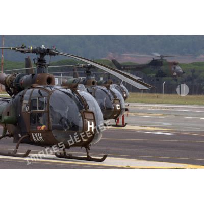 Hélicoptères Gazelle peu avant le décollage lors d'un exercice EALAT (École de l'aviation légère de l'armée de Terre).