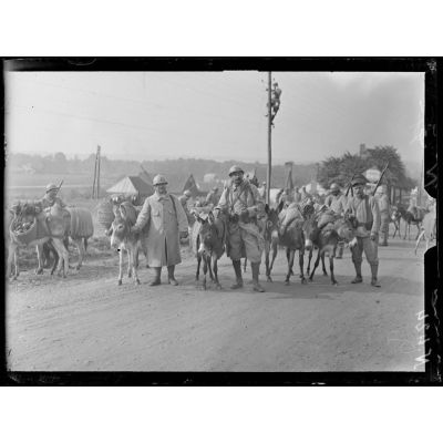 Près de Moreuil (Somme), petits ânes chargés de transporter aux premières lignes par les boyaux les vivres et le matériel. [légende d'origine]