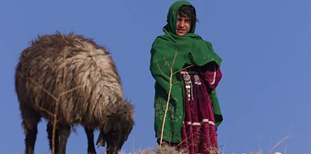 Jeune bergère Afghane, opération Pamir